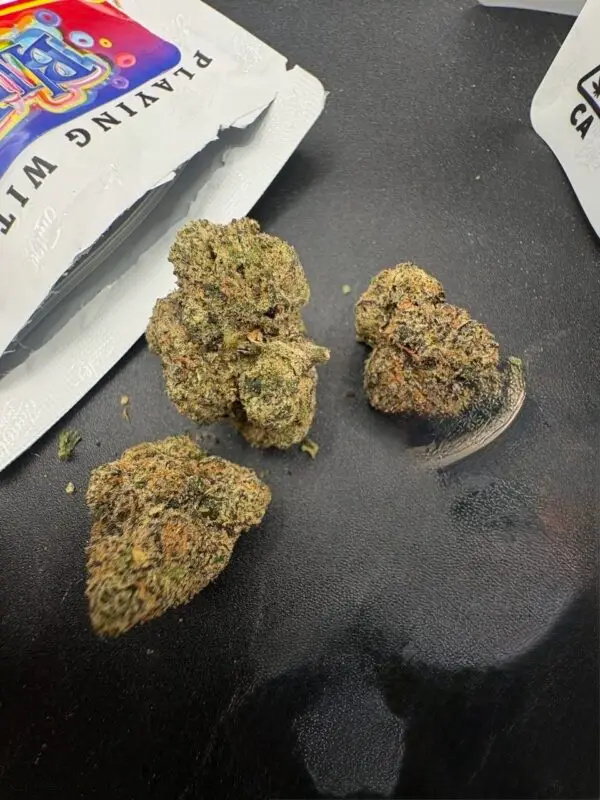 JUNGLE BOY 8TH STRAINS - Image 2