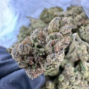 candy crush strains
